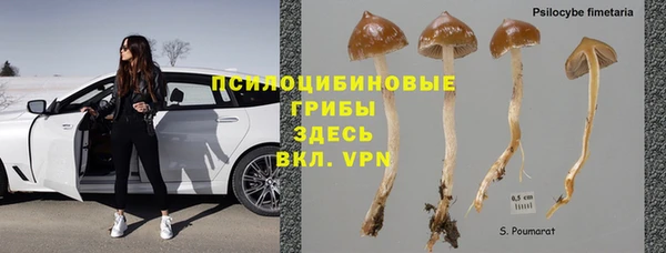 тгк Алзамай