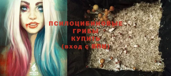 шишки Алексеевка