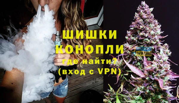 шишки Алексеевка